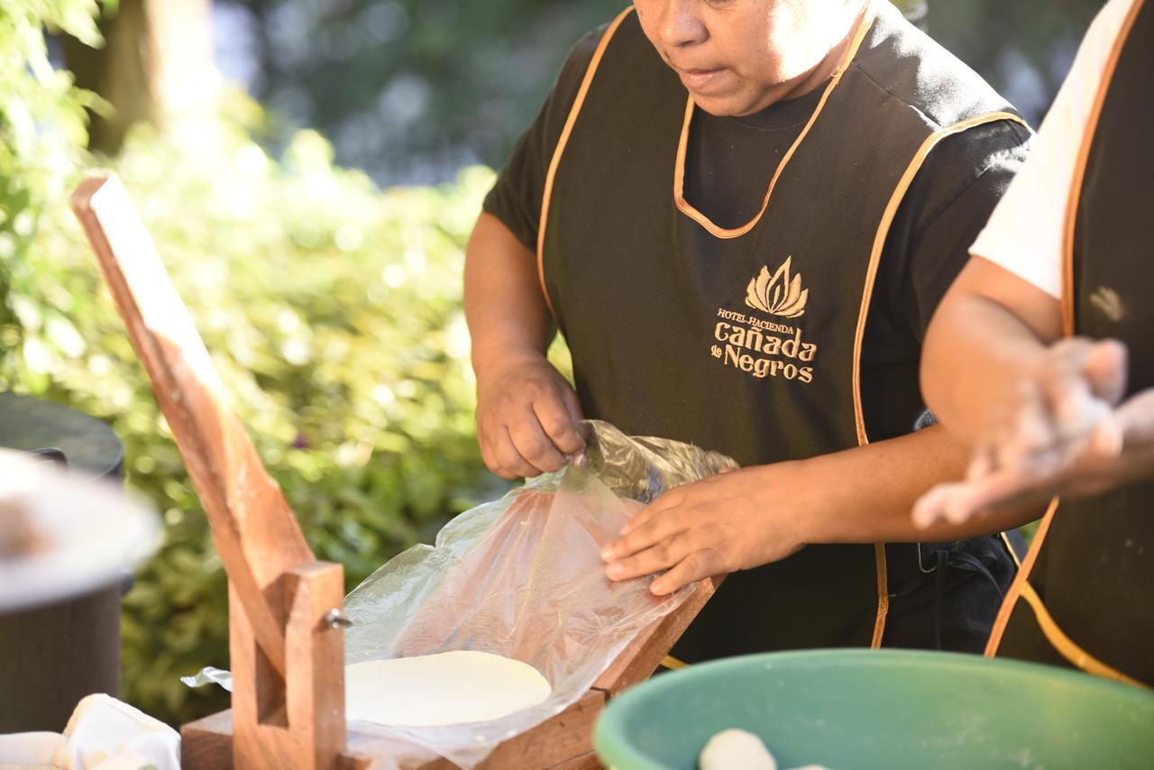 Hotel Hacienda Spa Canada De Negros Purisima de Bustos エクステリア 写真